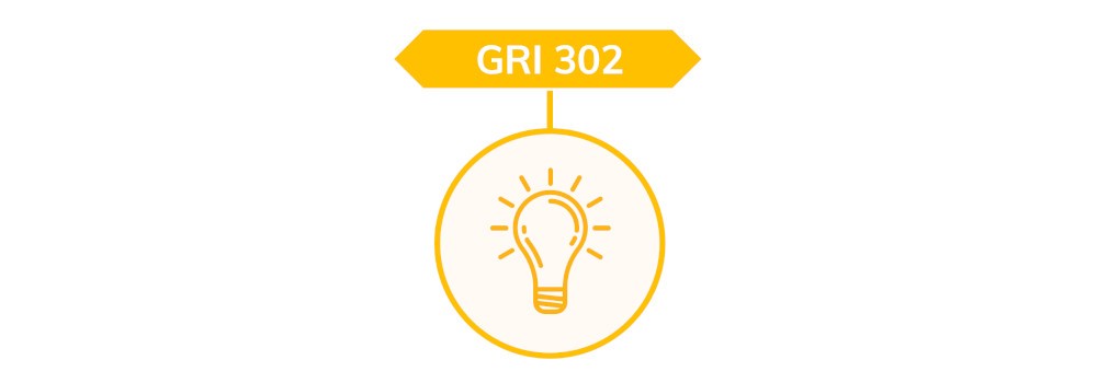 GRI 302
