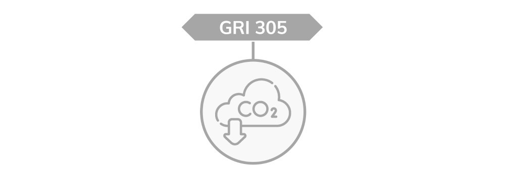 GRI 305
