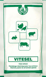Pet food in powder