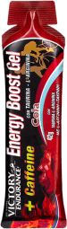 Liquid Food & Vitamin Supplement